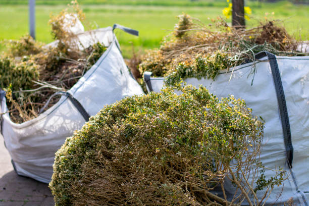 Debris Removal in Harrisburg, NC